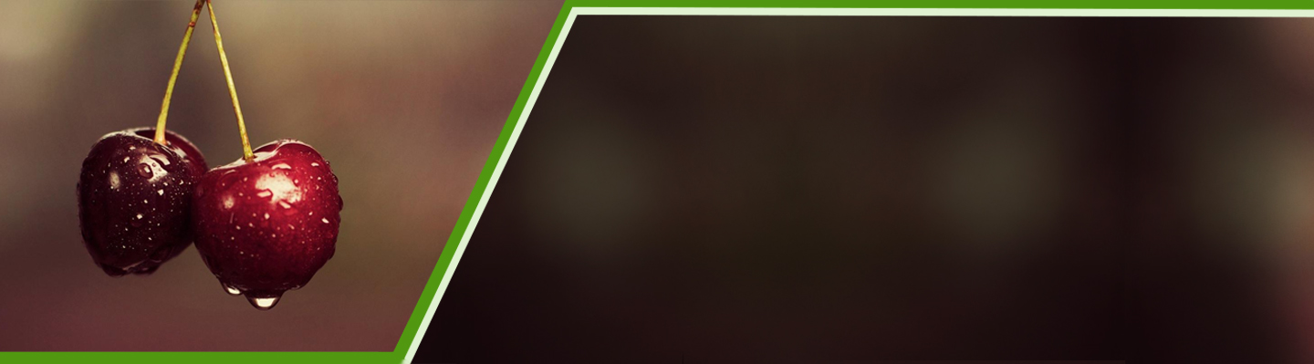 slider-image